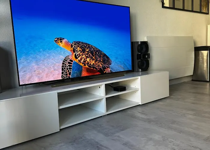 Superbe Duplex T2 à Quelques Pas Du Centre De Appartement