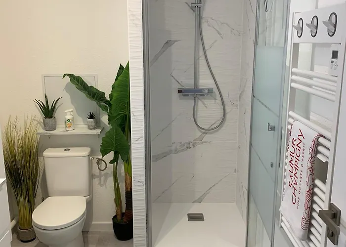 Superbe Duplex T2 à Quelques Pas Du Centre De Appartement *