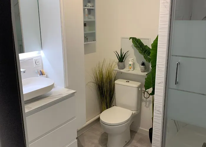 Superbe Duplex T2 à Quelques Pas Du Centre De Appartement *